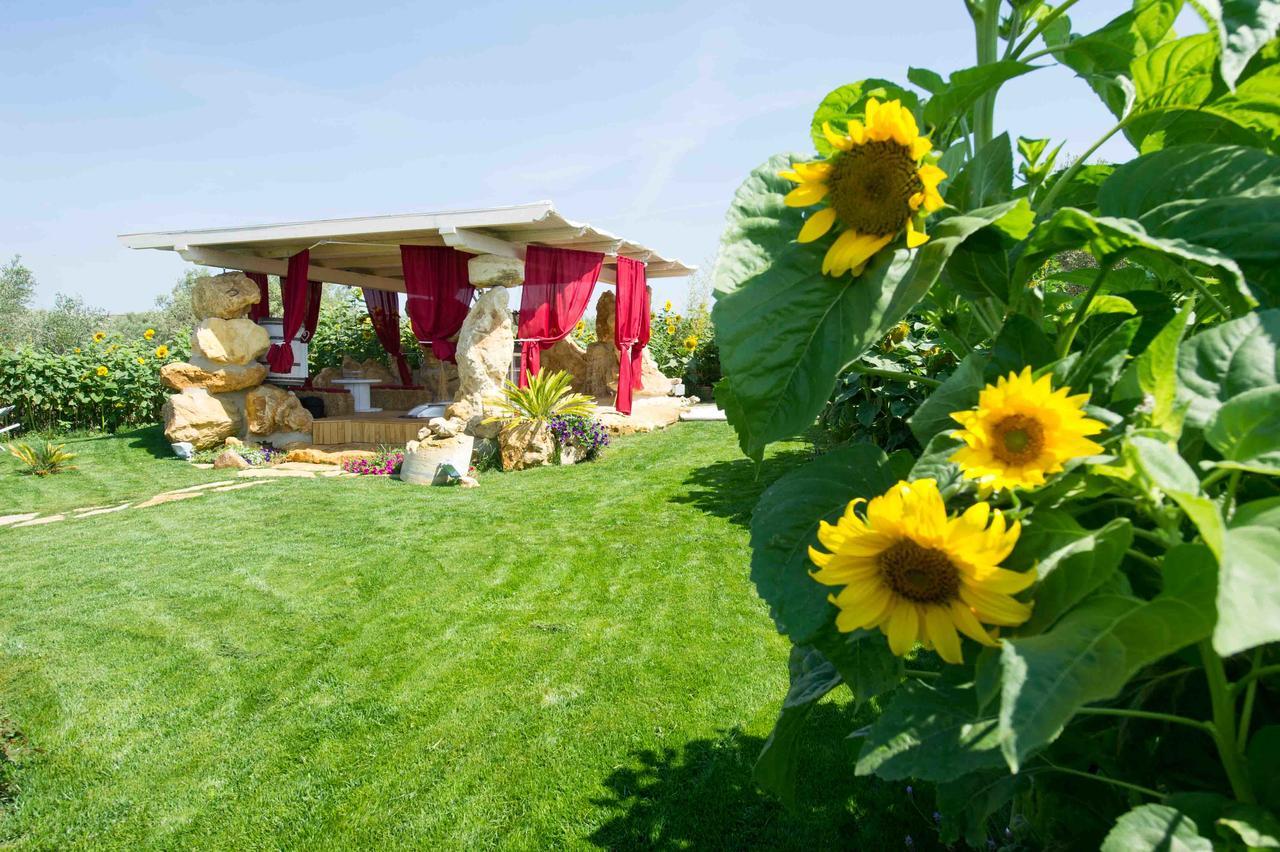 Il Giardino Dei Flintstones B&B Черветере Экстерьер фото